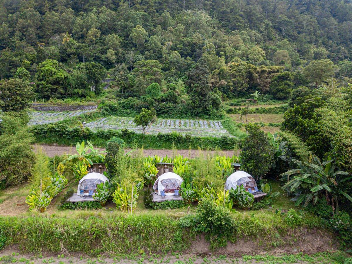 Cloud Hills Glamping Hotel Kintamani Екстериор снимка