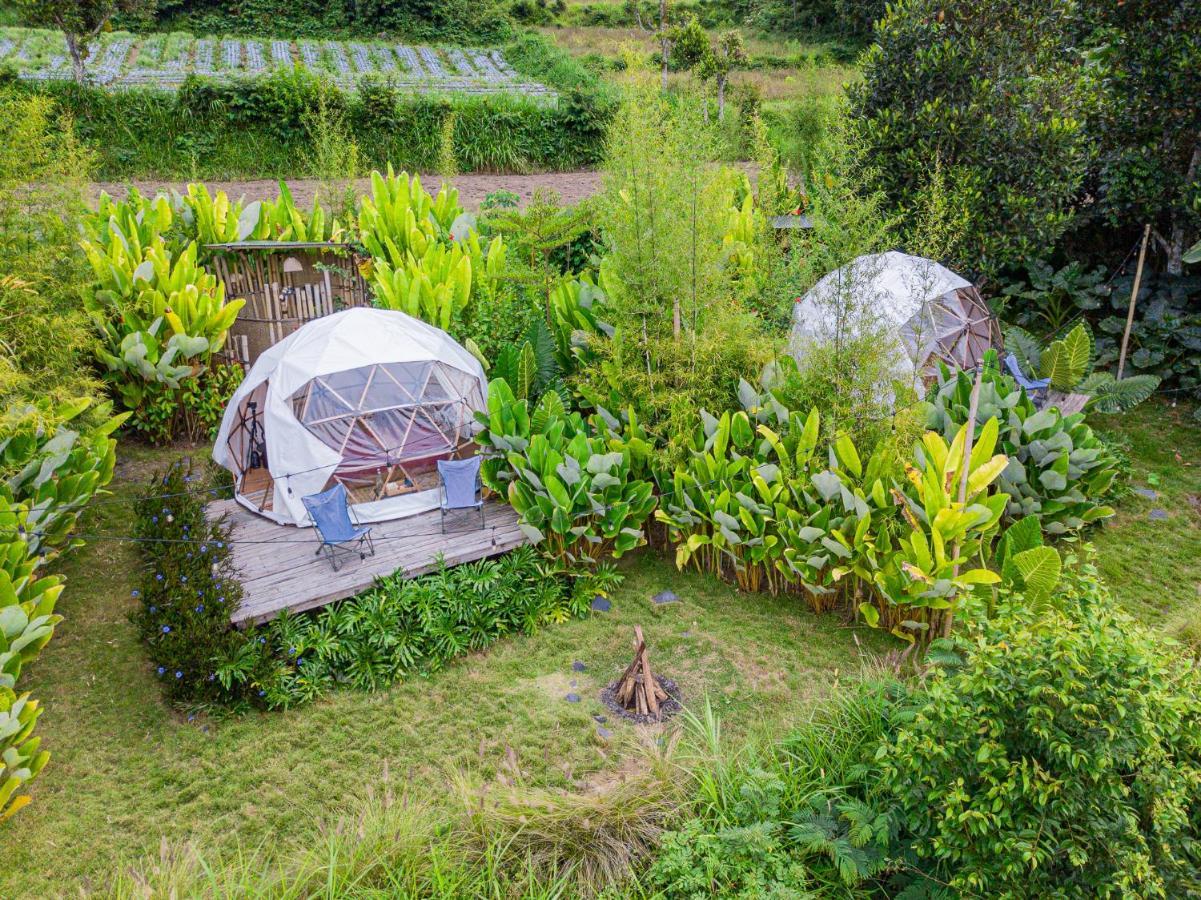 Cloud Hills Glamping Hotel Kintamani Екстериор снимка