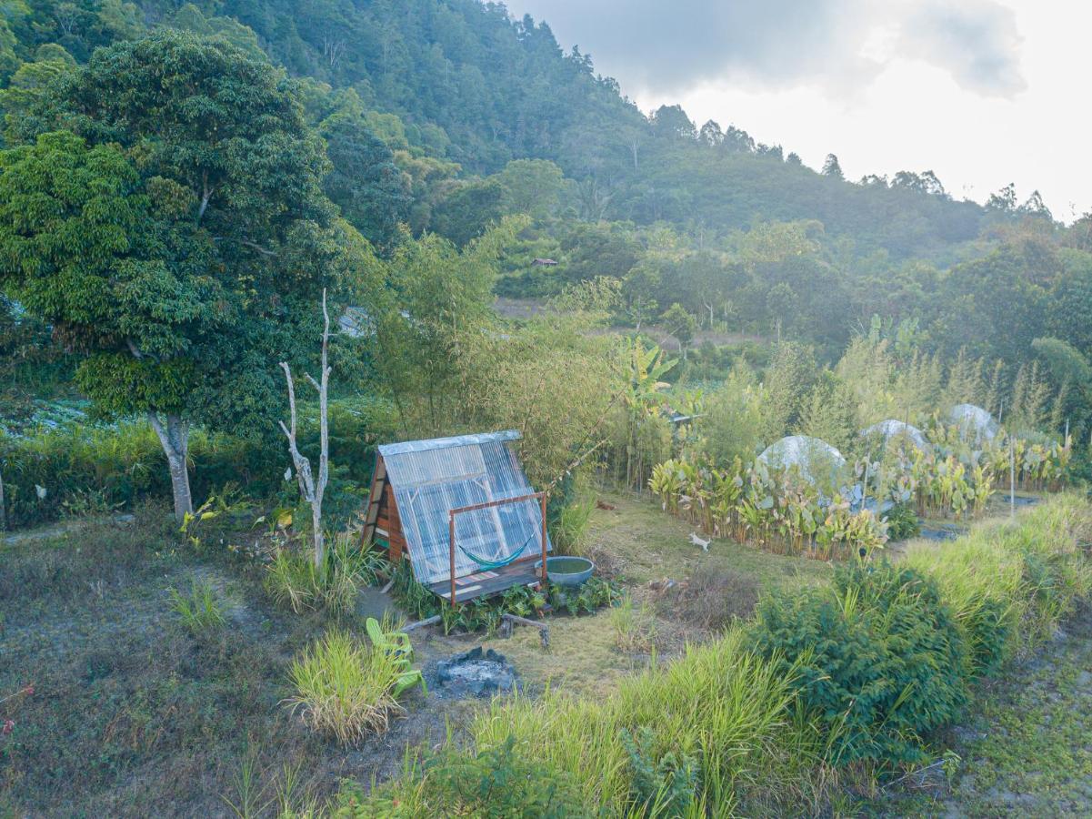 Cloud Hills Glamping Hotel Kintamani Екстериор снимка